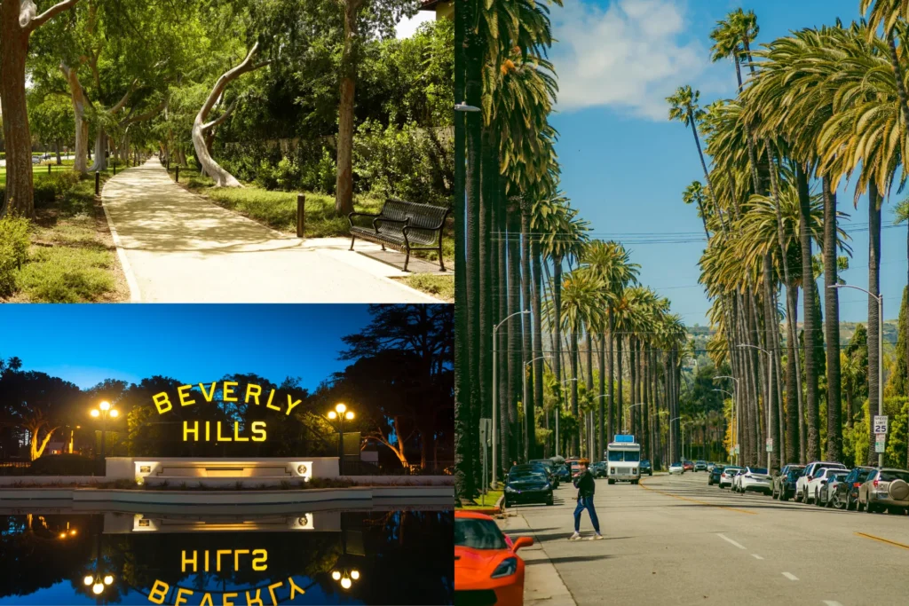 Explore the City Parks