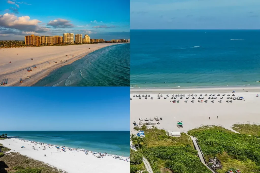 Explore the Ten Thousand Islands in marco island