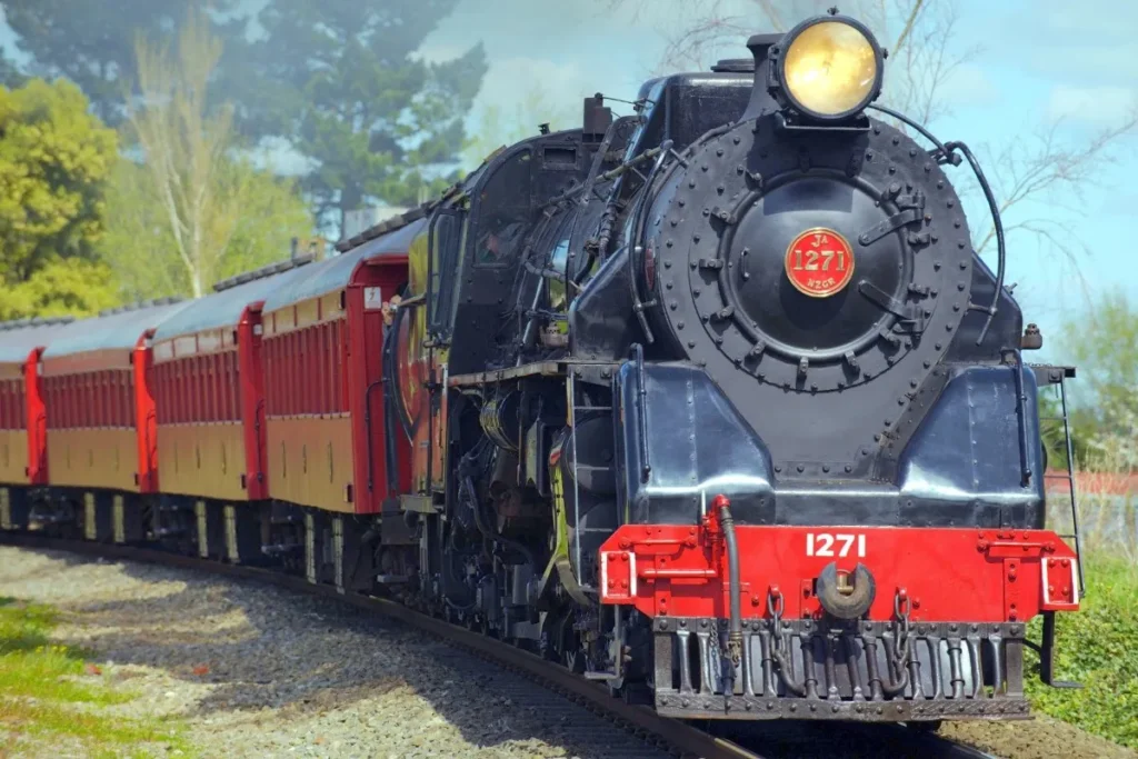 Go on a Family Train Ride