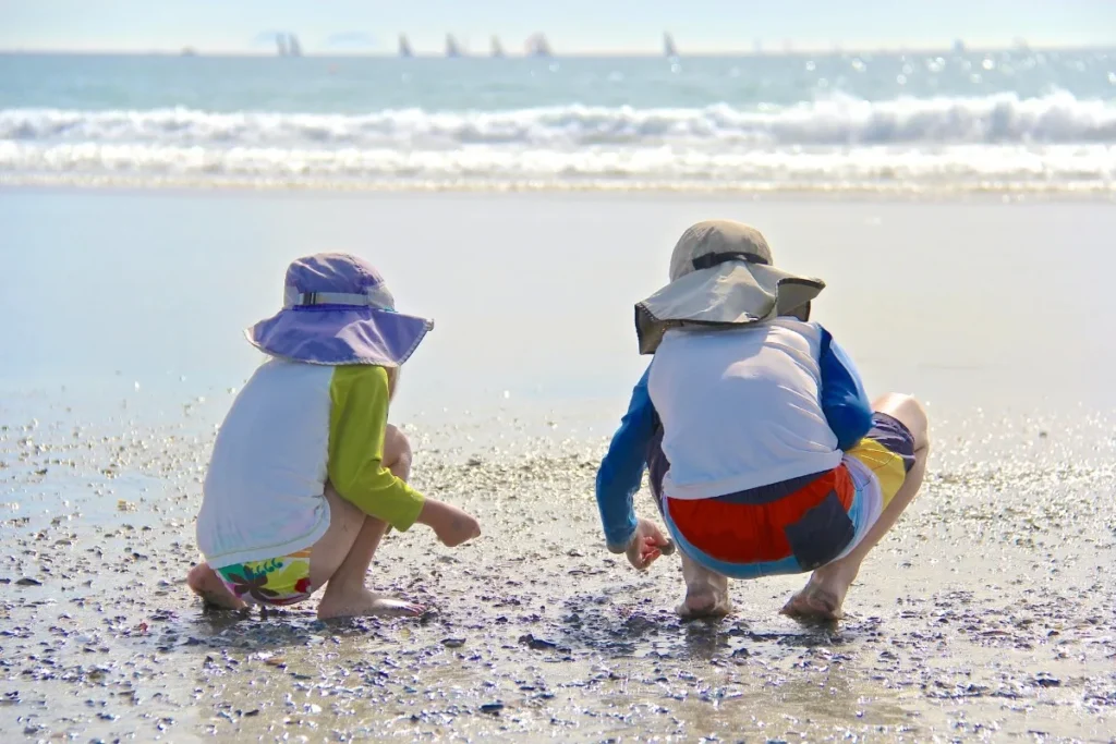 Hunt Seashells Like a Pro