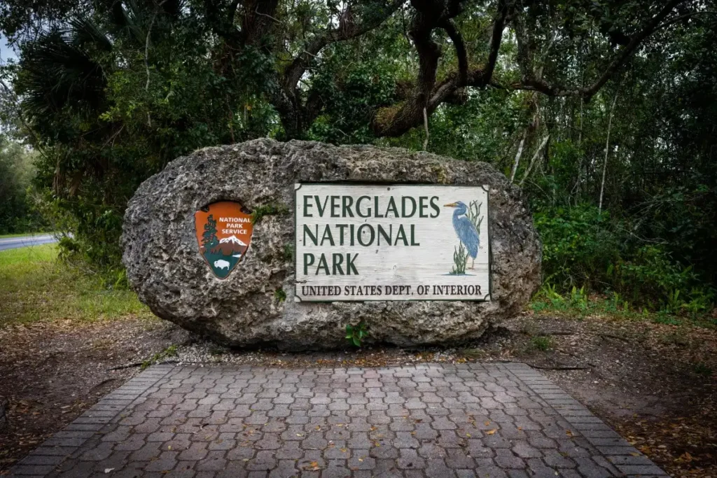 Take a Day Trip to the Everglades