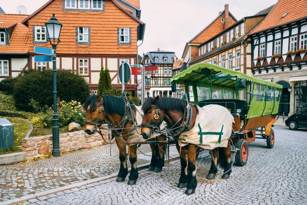 Take a Horse-Drawn Carriage Tour