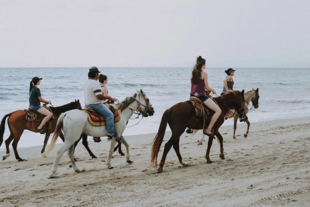 Try Horse Riding