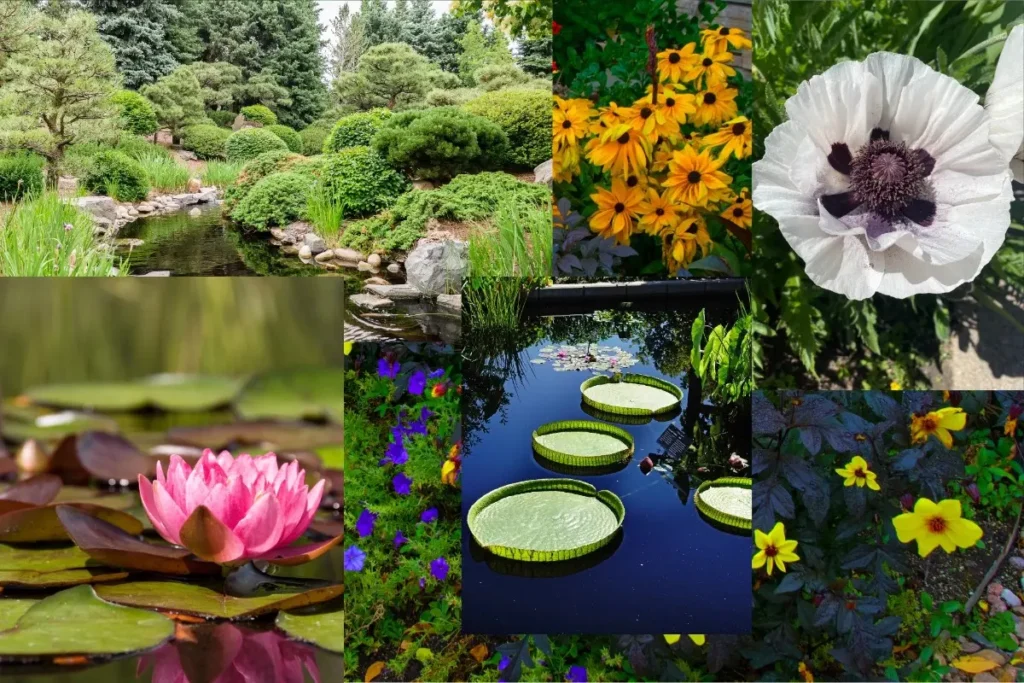 Denver Botanic Gardens: A Tranquil City Oasis