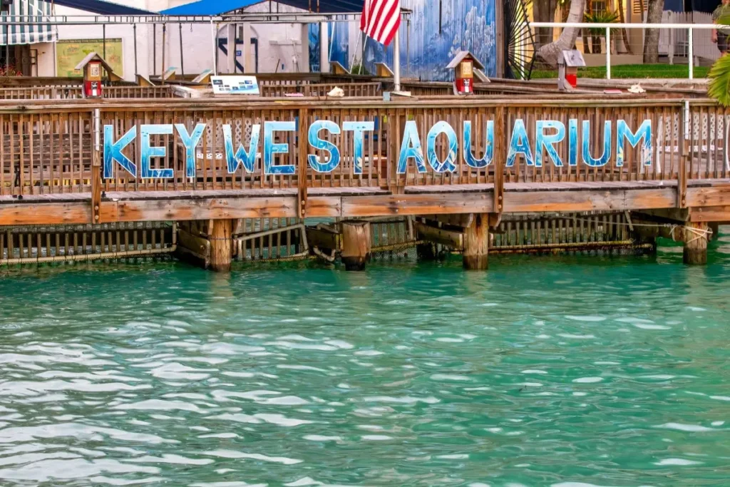 Dive into the Key West Aquarium