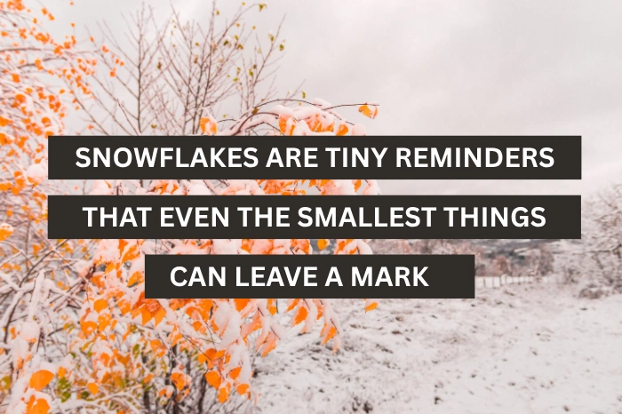 First Snow Inspirational Quotes 