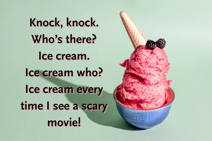 Funny Knock Knock Jokes for Kids