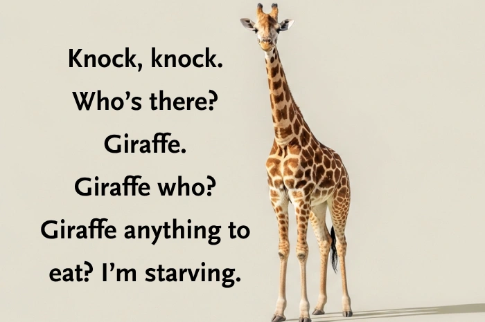 Knock Knock Jokes for Kids about Animals