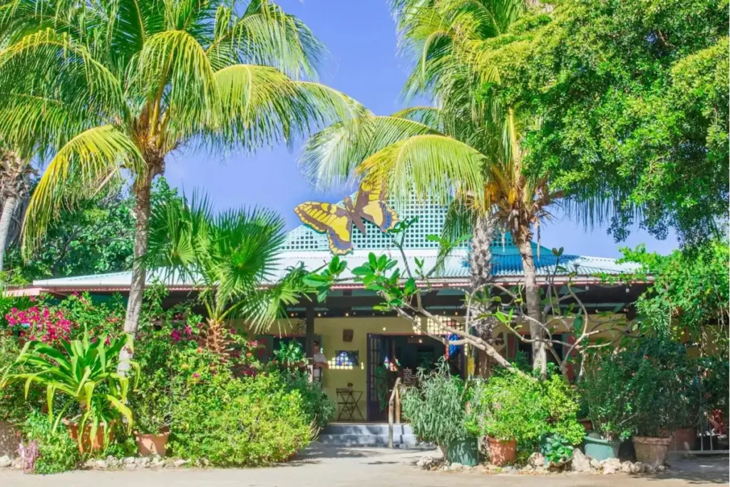 Aruba Butterfly Farm