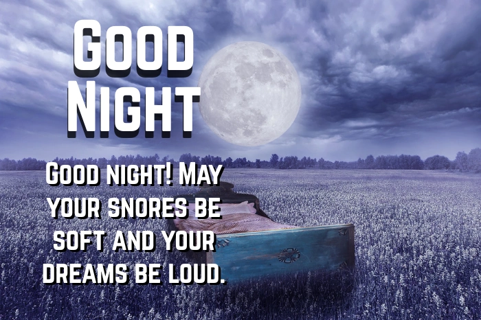 Cute Good Night Wishes for Husband