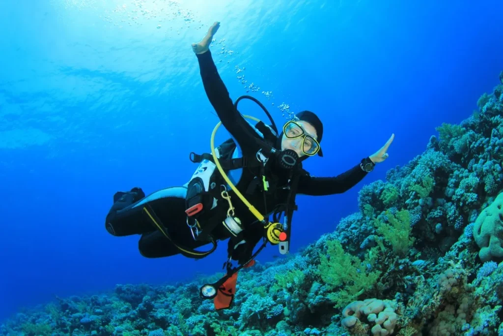 Indulge in Scuba Diving
