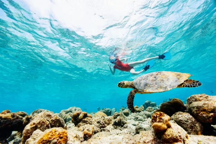Maldives Snorkeling