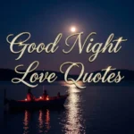 Good Night Love Quotes