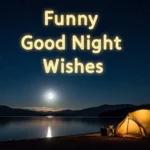 Funny Good Night Wishes