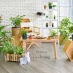 Indoor Gardening